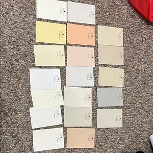 Color Atelier Limewash Paint Sample Cards - 19 total